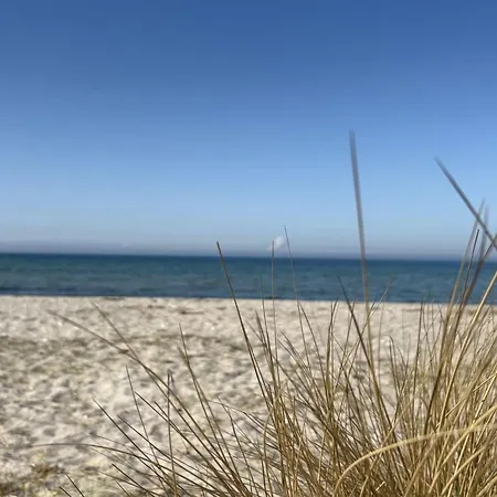 Vakantiehuis Holmfridur - 1-1km From The Sea By Interhome *